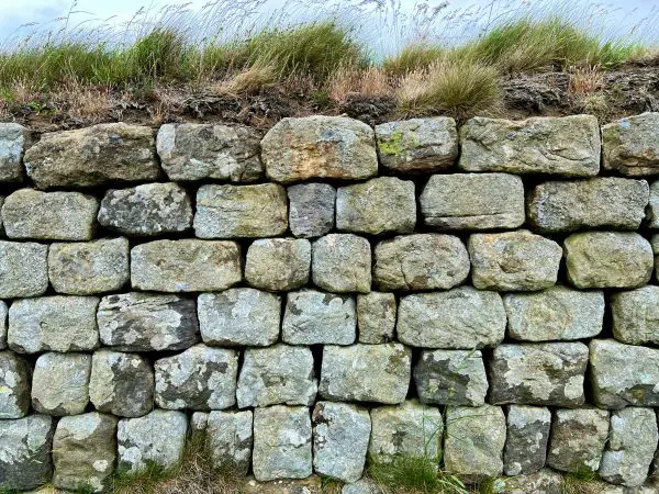 rockery drainage