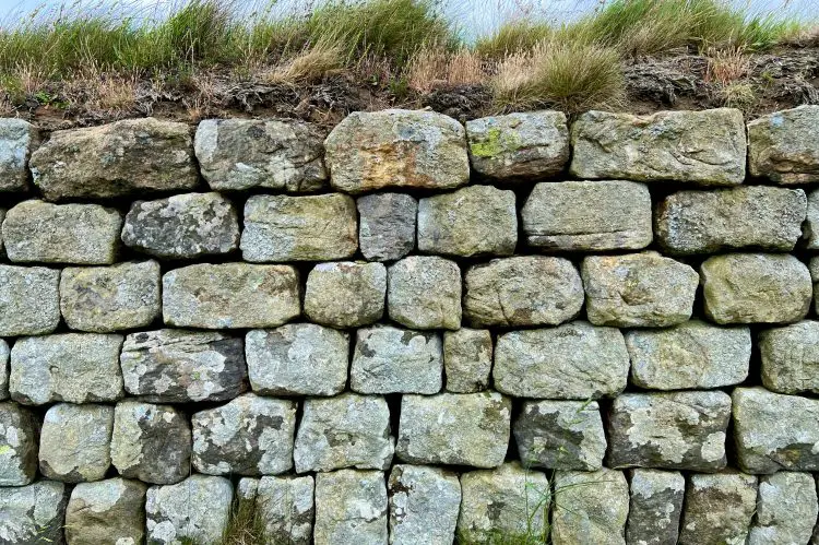 rockery drainage