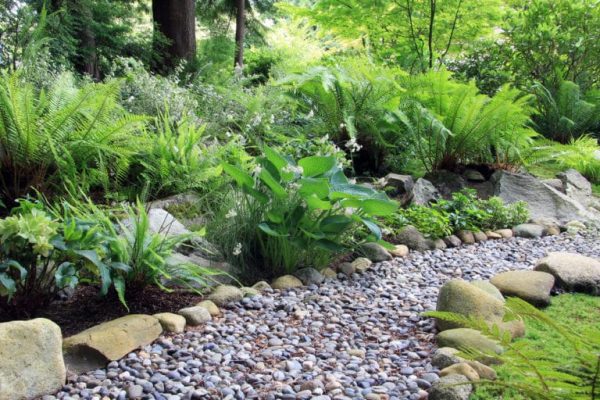 rock garden