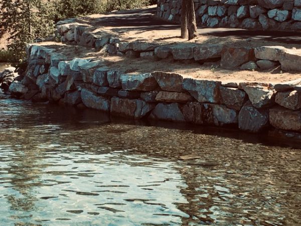 rockery vs retaining wall